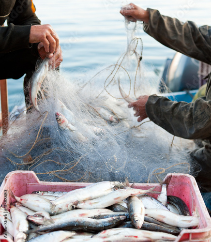 Photo: fishers work fishers work