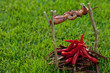 barbecue on a stick with red pepper, depicting the fire