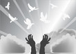grey hands and white pigeons grey hands and white pigeons