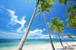 tropic