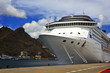 The cruise ship in port