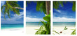tropic pics