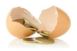 Broken  eggs with coins