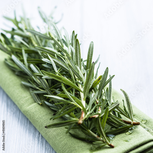 Photo: Rosemary Rosemary