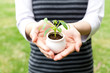 a person holding small plant in the park