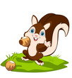 Squirrel