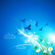 Summer background