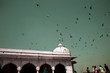 Red Fort Delhi