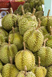 Durian,delicious tropical fruit in fruit stall, Thailand