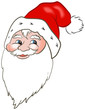 Santa Claus Face