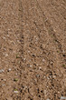 Photo: Ploughed field Ploughed field