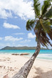 Curieuse - Praslin - Seychellen Curieuse - Praslin - Seychellen