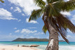 Island Curieuse - Seychellen - Seychelles Island Curieuse - Seychellen - Seychelles