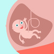 Baby in pregnant woman's womb