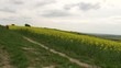 trkking au printemps cap blanc nez