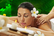 spa theme
