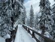 Fußgängerbrücke im Schnee