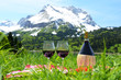 Wine and vegetables served at a picnic