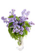 Photo: lilac flower in vase lilac flower in vase
