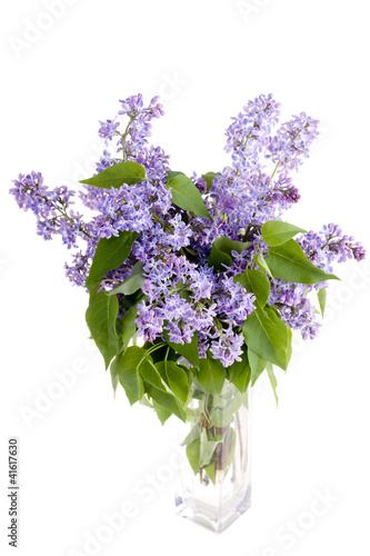 Photo: lilac flower in vase lilac flower in vase