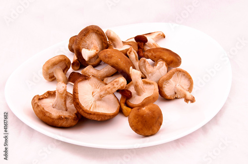 Photo: Mushroomsplate Mushroomsplate