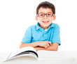 Boy studying