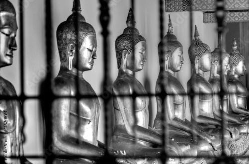 Photo: Buddhas Meditating Buddhas Meditating