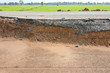 Section of the road. Section of the road.