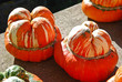 Zucca - Zucche Zucca - Zucche