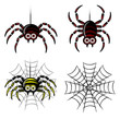 Spider set & web