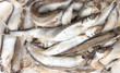 Fish in ice at the market Fish in ice at the market
