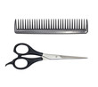 scissors and comb scissors and comb