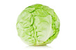 green organic cabbage