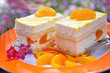 Leckere Mandarinentörtchen