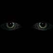 yeux