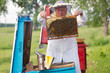 beekeeper at work beekeeper at work
