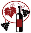 Grape wine illustration Grape wine illustration