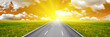 road in dandelions field to orange sky road in dandelions field to orange sky