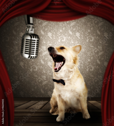 Photo: Dog singer Dog singer