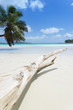 Anse Volbert - Praslin - Seychelles Anse Volbert - Praslin - Seychelles