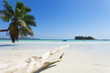 Beach of Praslin - Seychellen - Seychelles