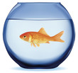 Vettoriale: Gold fish Gold fish