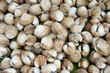 Foto: Cockles at the market Cockles at the market