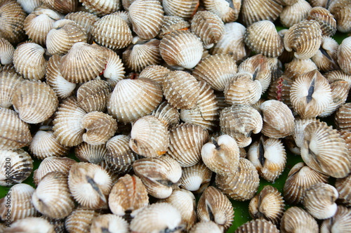 Foto: Cockles at the market Cockles at the market