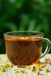 Photo: Cup of herbal tea and chamomile still life Cup of herbal tea and chamomile still life