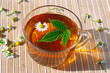 Photo: Cup of herbal tea with chamomile and green leaf still life Cup of herbal tea with chamomile and green leaf still life