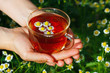 Hand with cup of herbal tea and chamomile still life