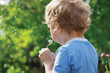 Little cute boy is blowing a dandelion outdoors