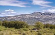 Paysage de Garrigue aride_Garrigue arid landscape. Paysage de Garrigue aride_Garrigue arid landscape.