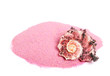 Sea shell